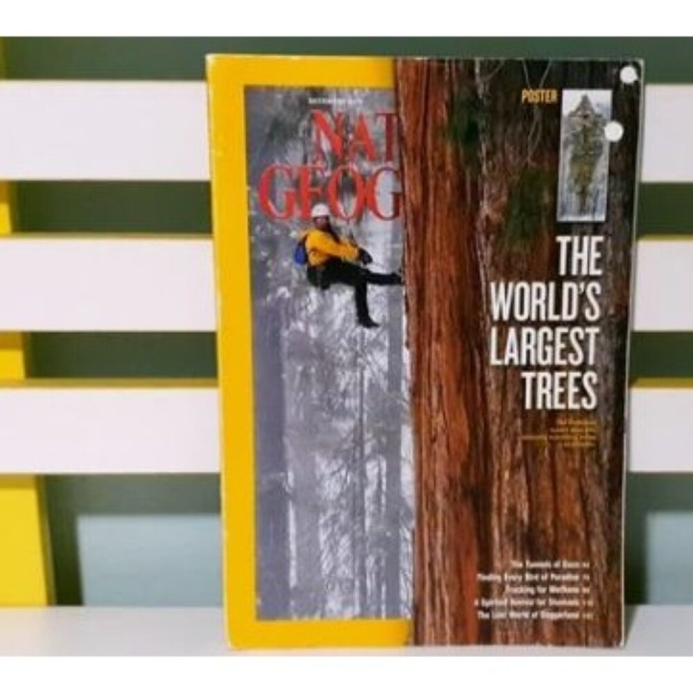 National Geographic Magazine September 2012 Issue With The Worlds Largest Trees